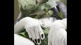 6117 masturbation porn videos